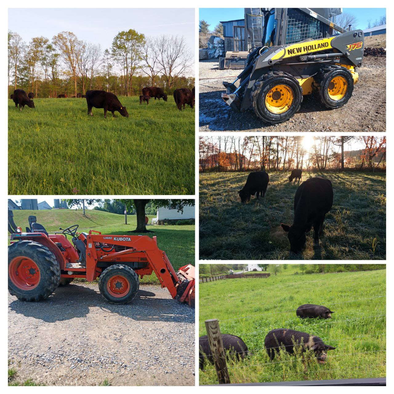 farmtour collage.jpg